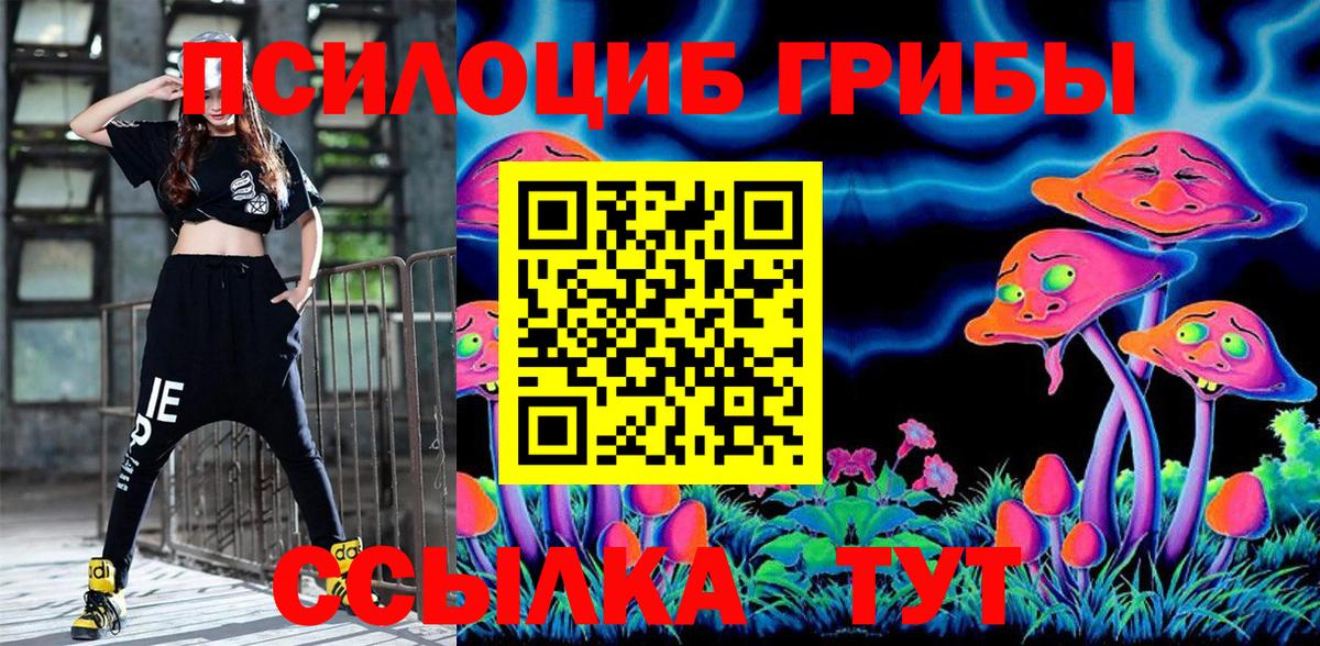 Галлюциногенные грибы Psilocybine cubensis  Вход с VPN  Канаш 